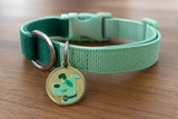 Minty Dog Collar